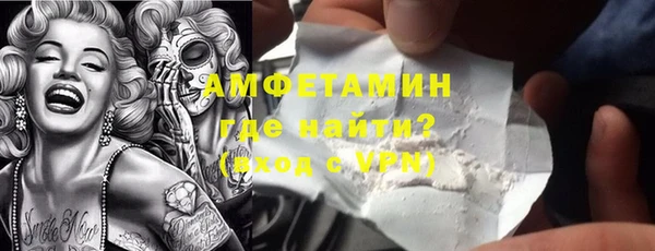 мет Алексин