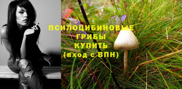 СК Алзамай