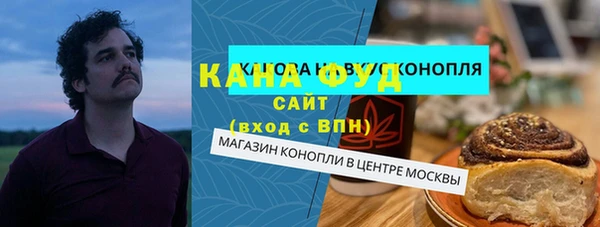 мет Алексин