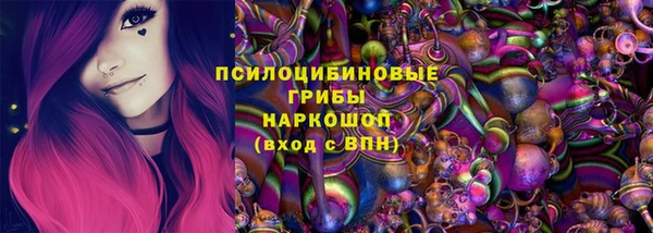 мет Алексин