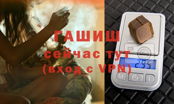 мет Алексин