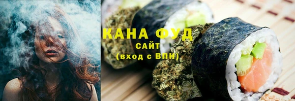 мет Алексин