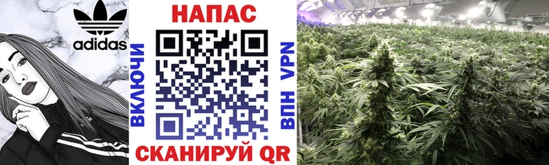 Бошки марихуана OG Kush  Бахчисарай 